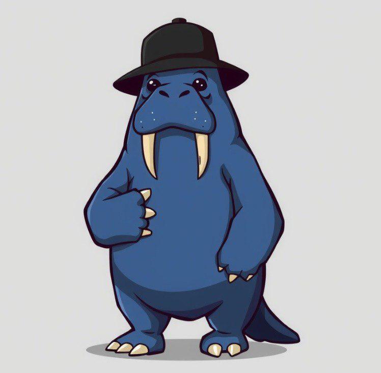 MY WALRUS