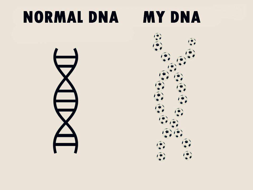 DNA