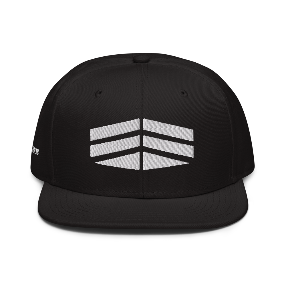 Logo SnapBack