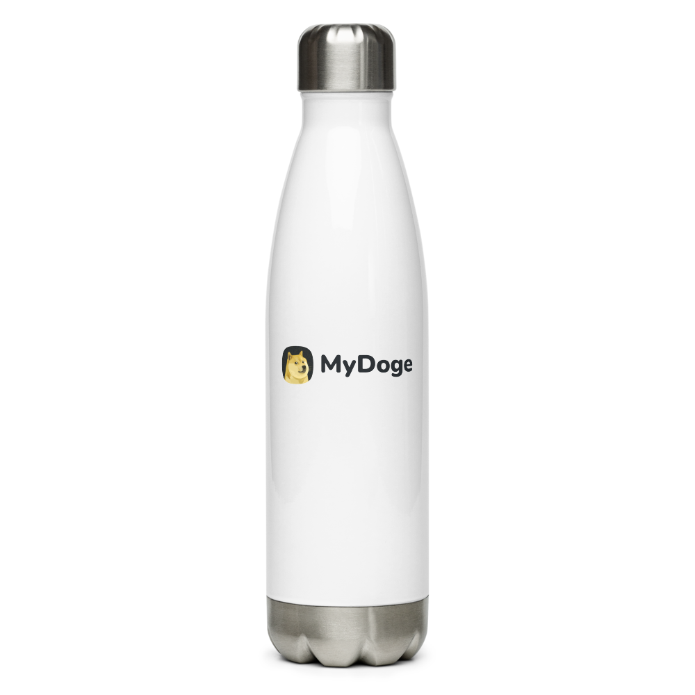 Stainless Steel Water Bottle