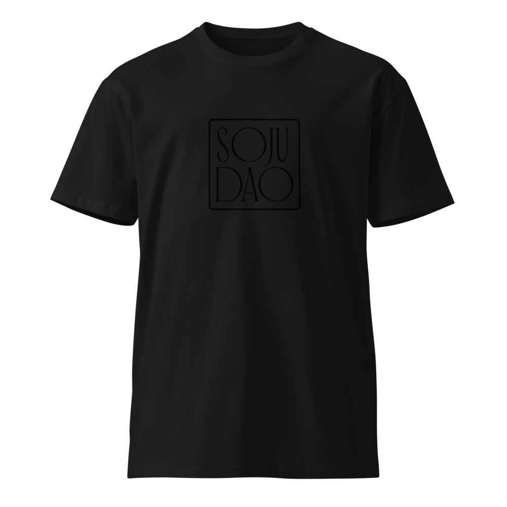 Unisex Premium T-Shirt | AS Colour 5001T