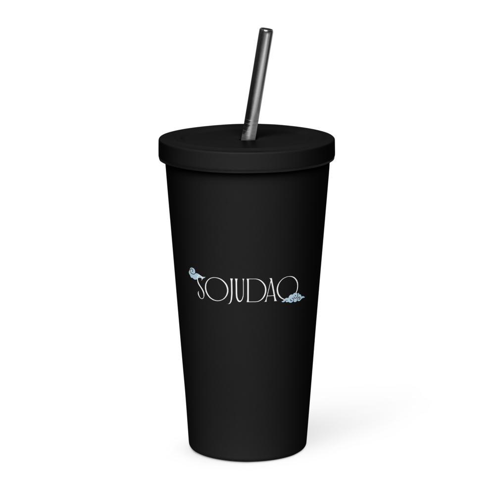 Insulated Tumbler with a Straw