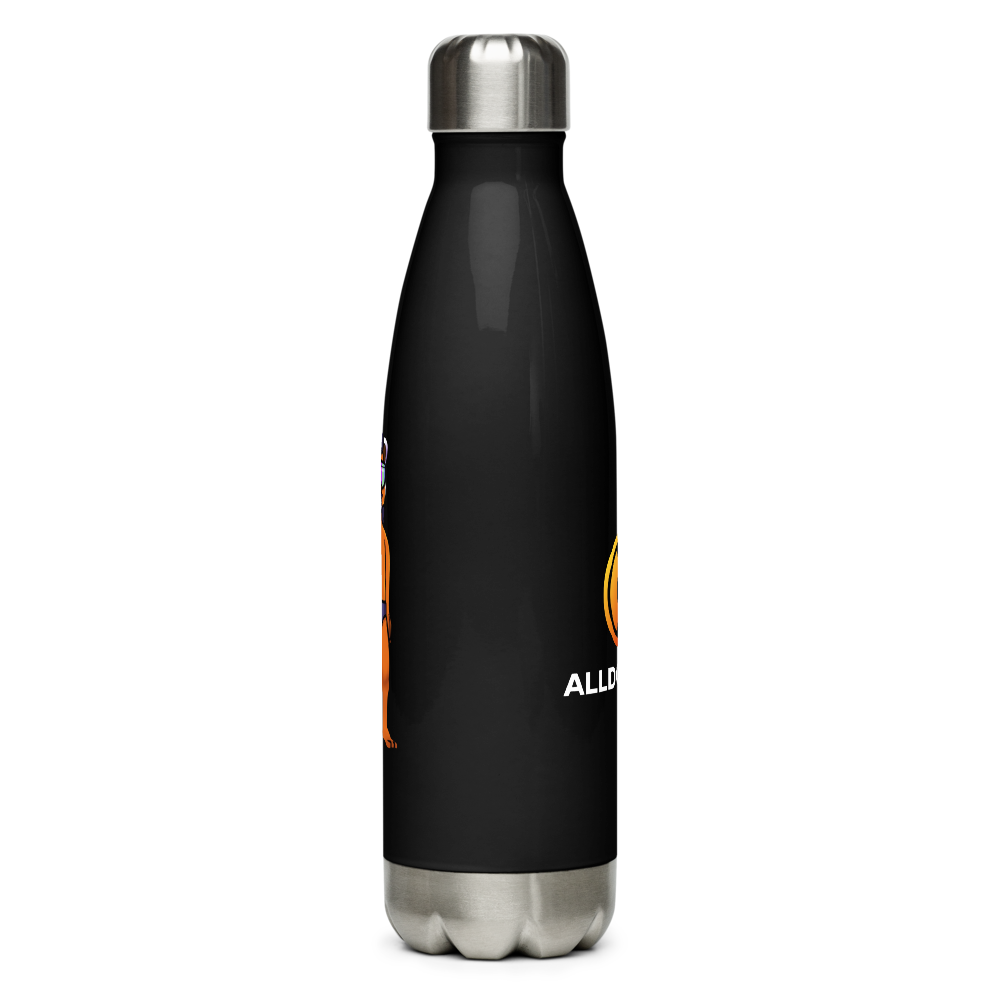 Stainless Steel Water Bottle