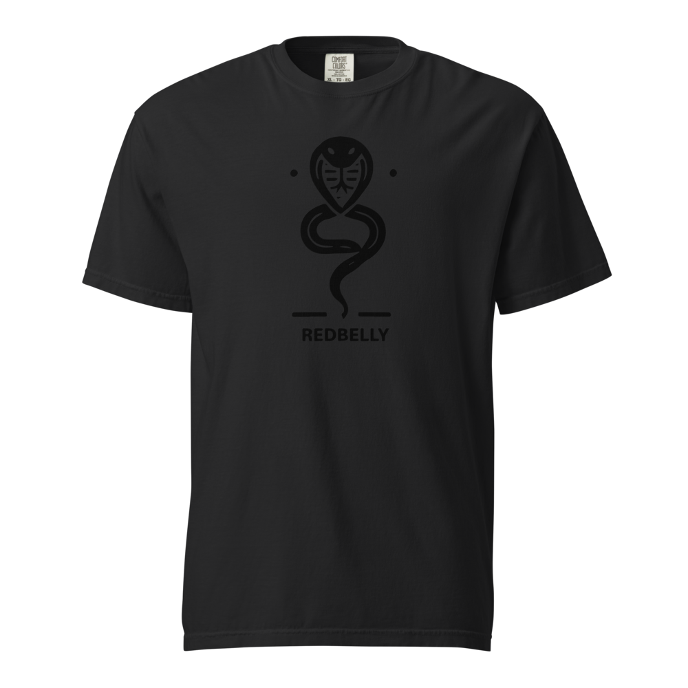 Unisex Garment-Dyed Heavyweight T-Shirt | Comfort Colors 1717