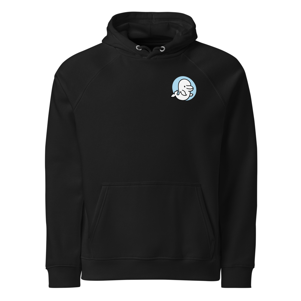 Unisex Eco Raglan Hoodie | SOL'S 03568