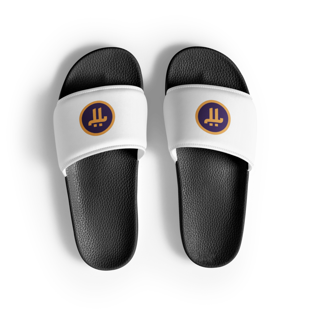 Pi  Slides